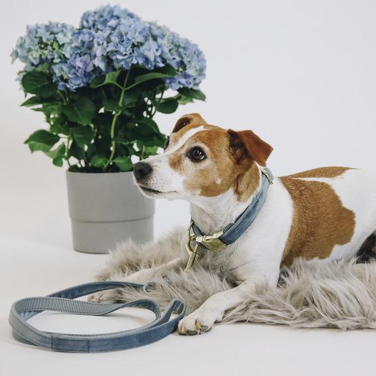 product/k/e/kentucky_42538-61-l_bleu_4.jpg