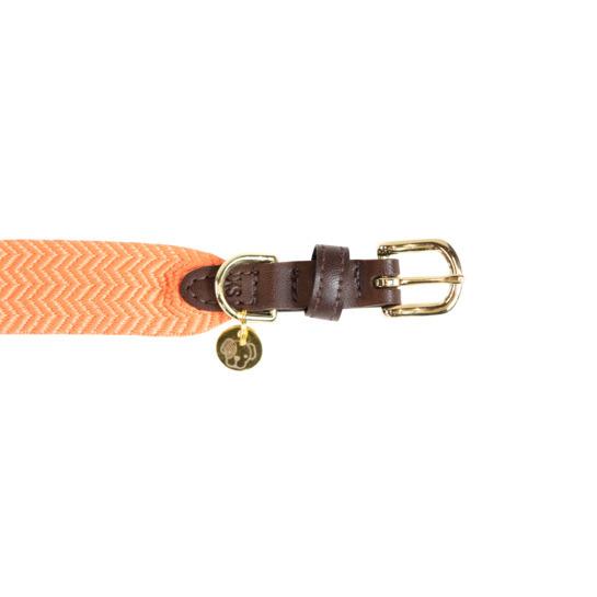 product/k/e/kentucky_42546-45-l_neon-orange_2.jpg