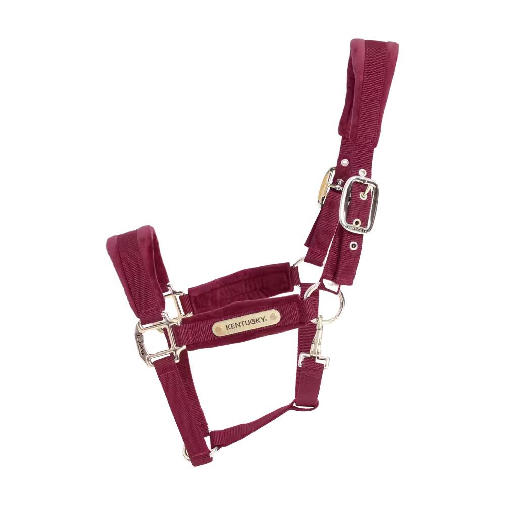 product/k/e/kentucky_42558-17-p_bordeaux_1.jpg