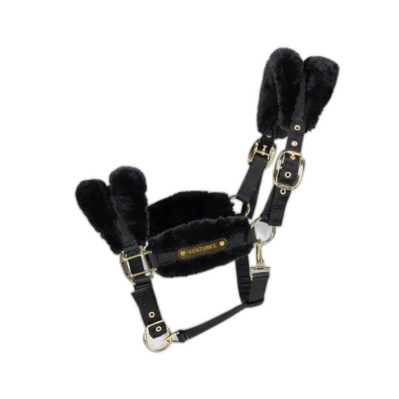 product/k/e/kentucky_42565-01-cob_black_1.jpg