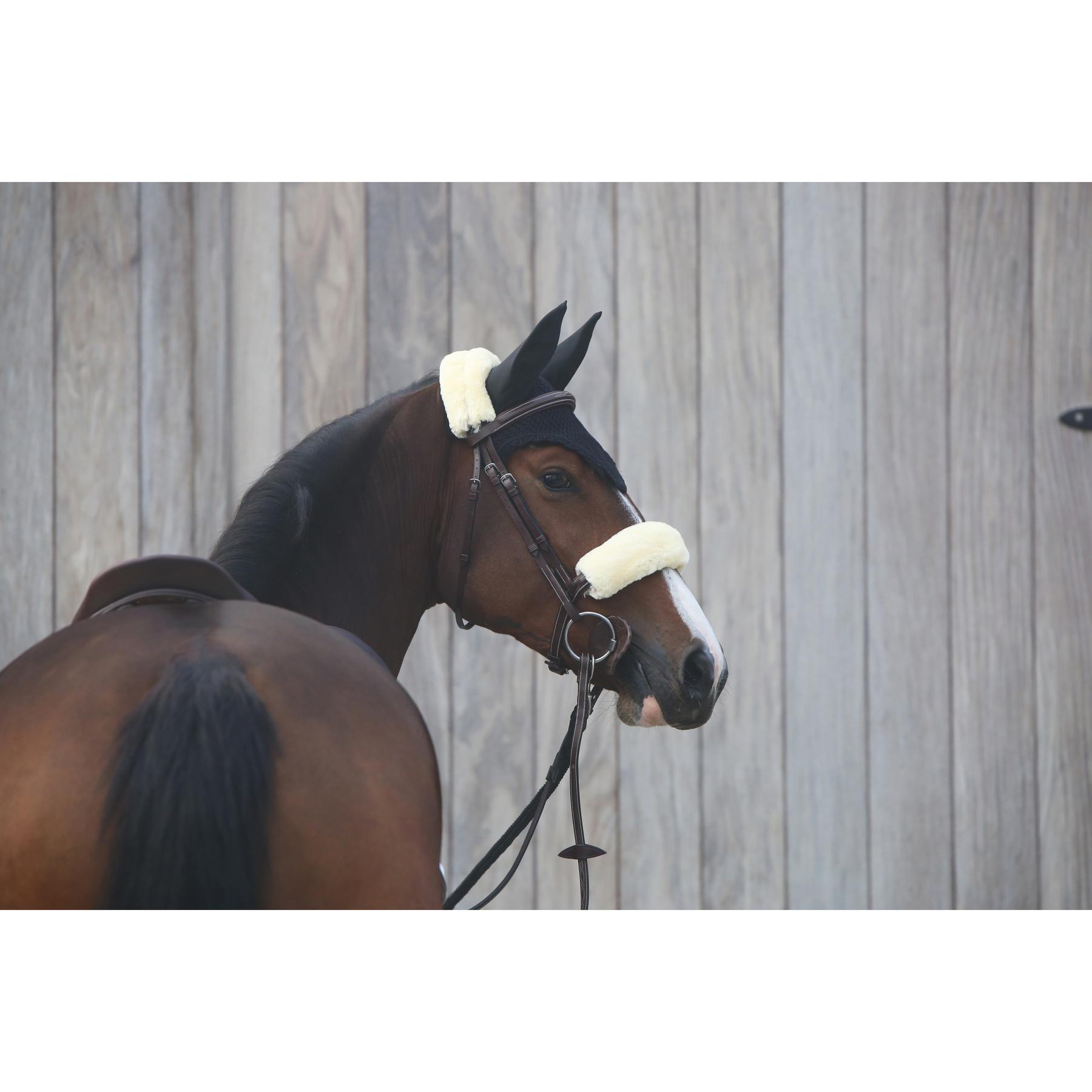 product/k/e/kentucky_42602-02-28_2.jpg