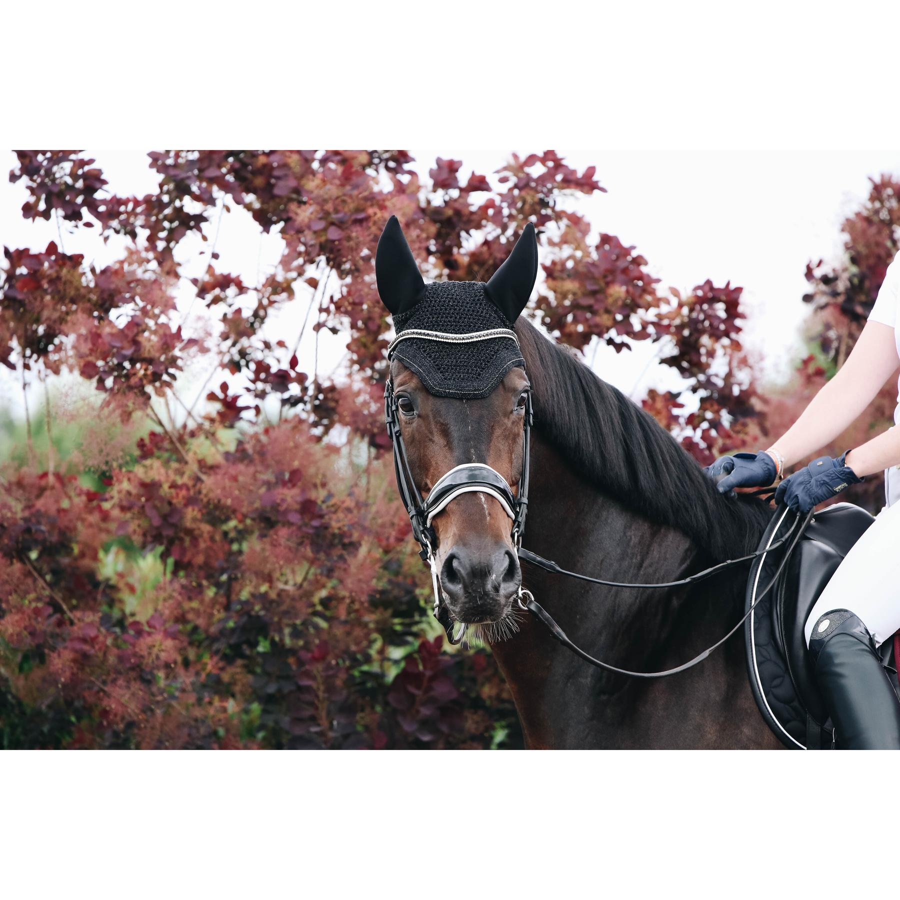 product/k/e/kentucky_42610-01-f_2.jpg