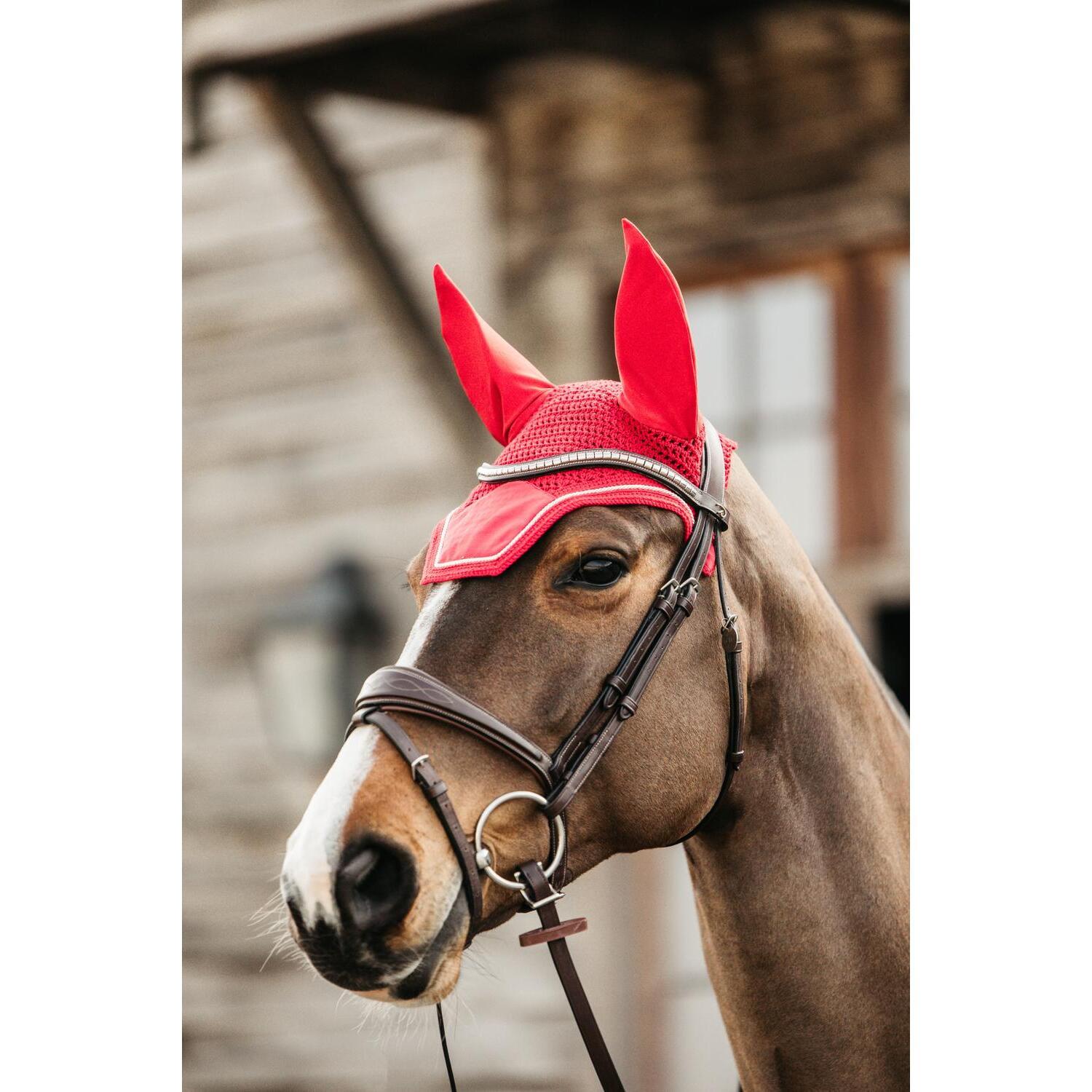 product/k/e/kentucky_42626-13-c_0.jpg