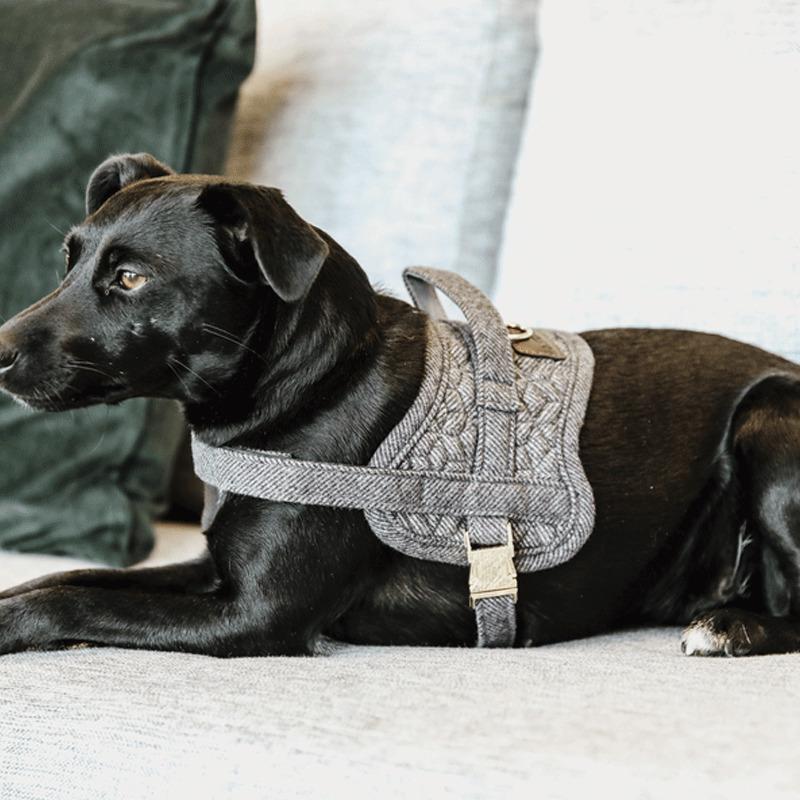product/k/e/kentucky_42638-08-l_gris_2.jpg