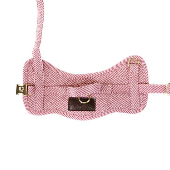 product/k/e/kentucky_42638-10-s_rose_2.jpg