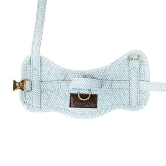 product/k/e/kentucky_42638-61-s_bleu_2.jpg