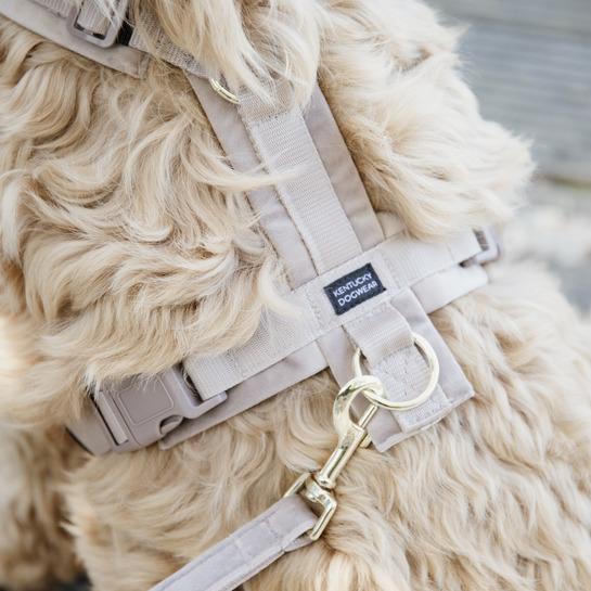 product/k/e/kentucky_42640-32-m_beige_2.jpg