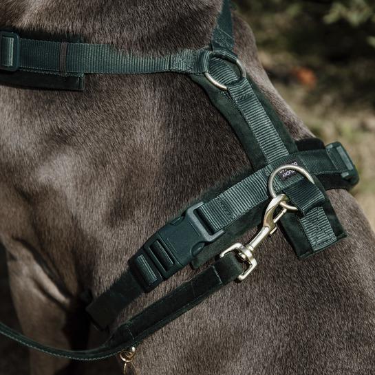 product/k/e/kentucky_42640-74-l_vert_4.jpg