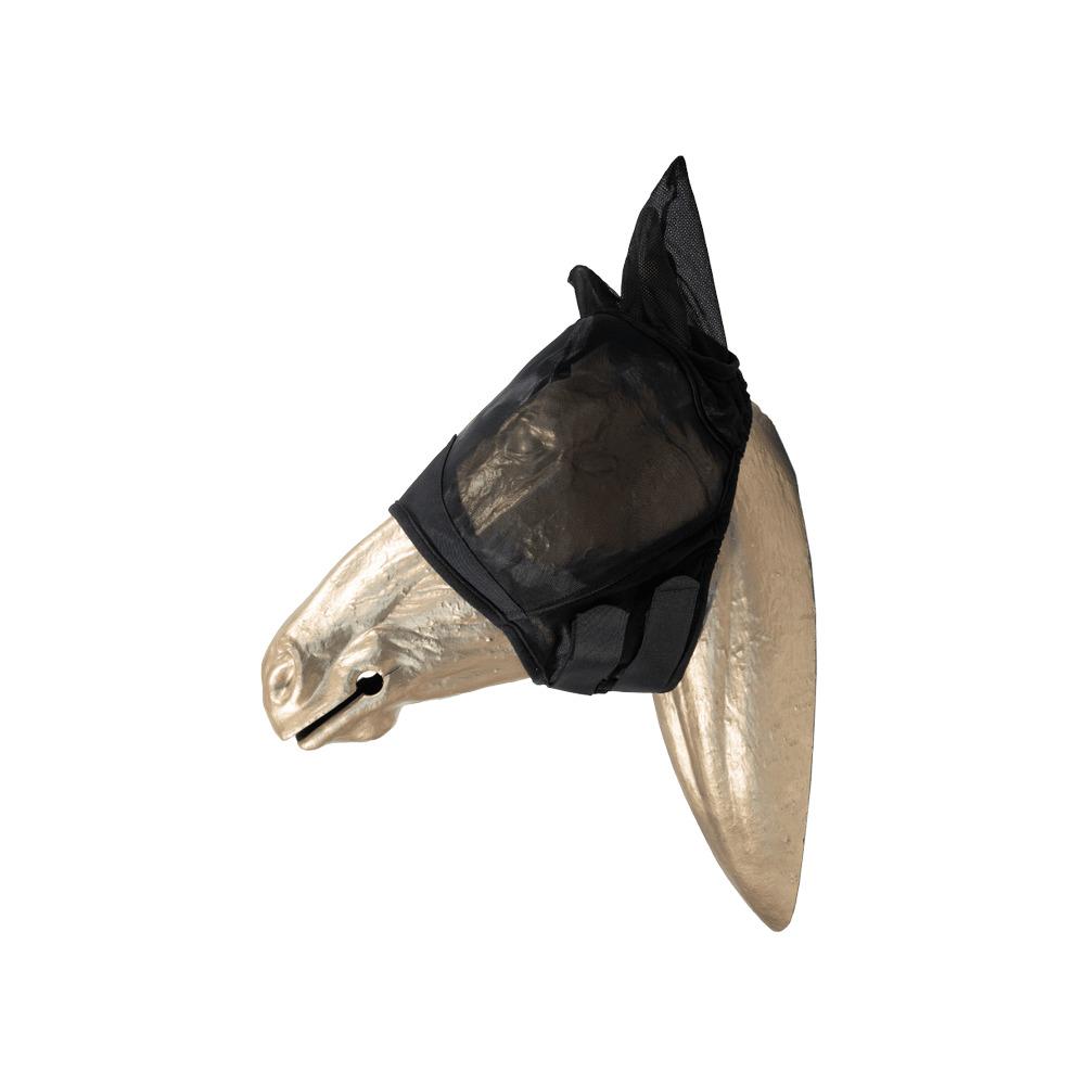 product/k/e/kentucky_42646-01-sh_1.jpg