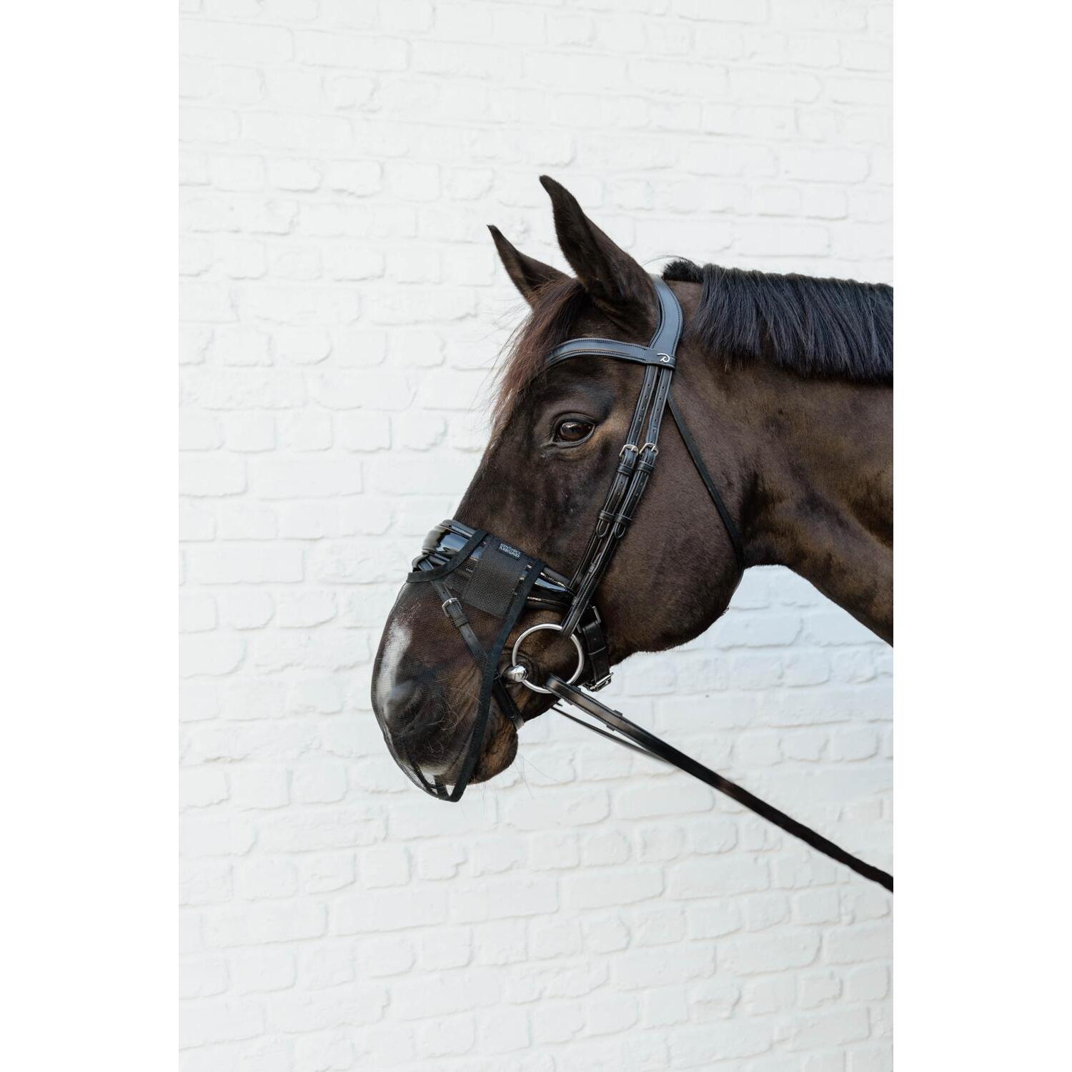 product/k/e/kentucky_42663-01-f_noir_2.jpg