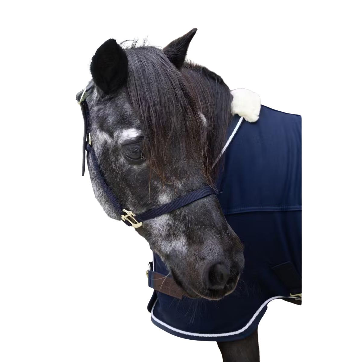 product/k/e/kentucky_42665-03-p_navy_1.jpg