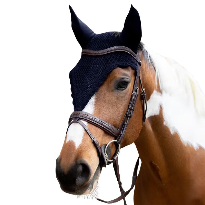 product/k/e/kentucky_42672-03-f_navy_1.jpg