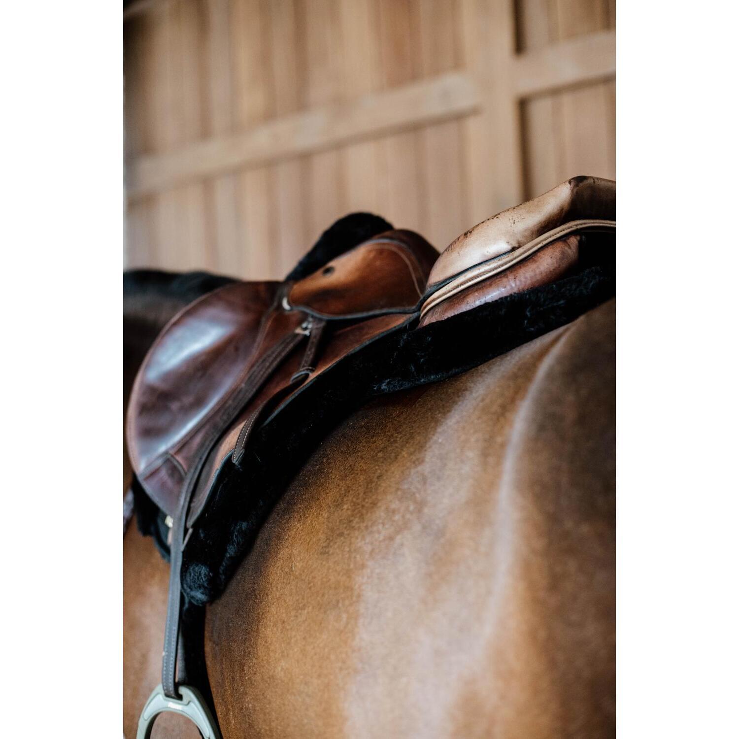 product/k/e/kentucky_42714-01-f_noir_5.jpg