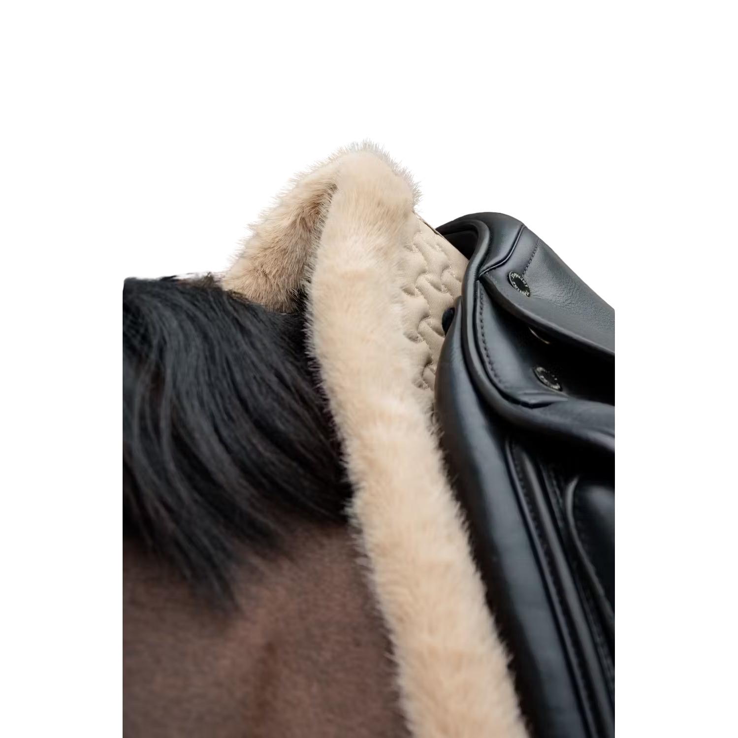 product/k/e/kentucky_42740-32-dr_beige_2.jpg