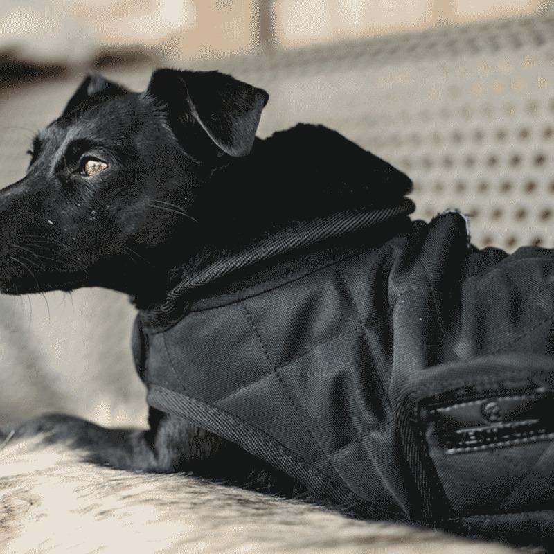 product/k/e/kentucky_52104-11-dh_noir-noir_2.jpg
