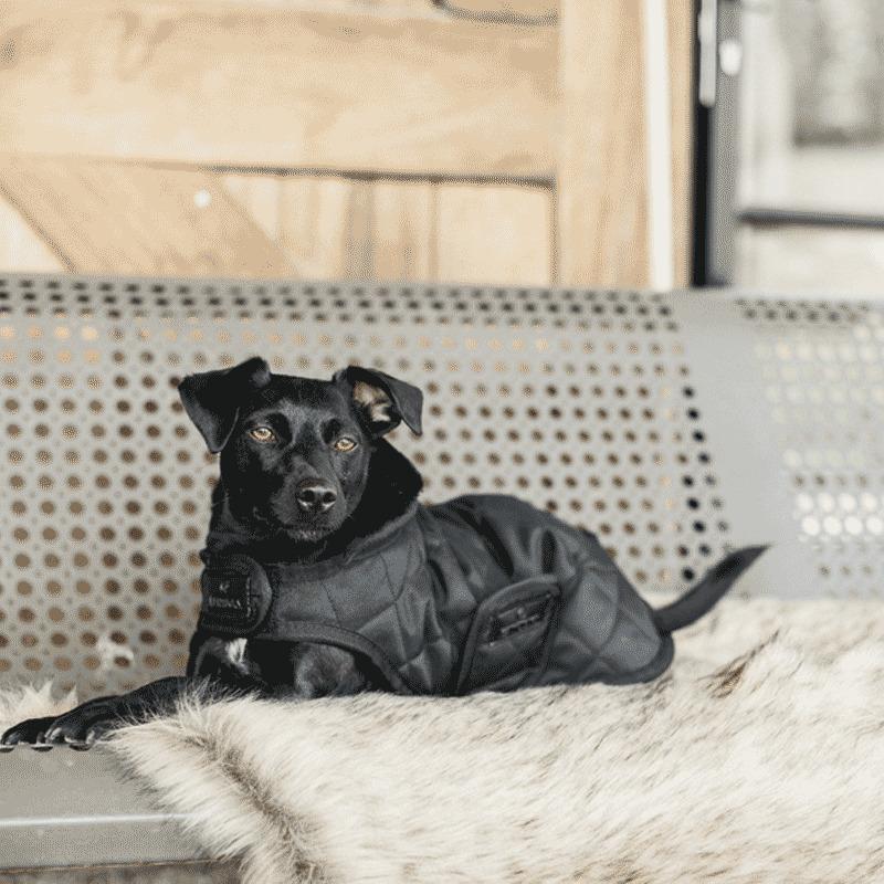 product/k/e/kentucky_52104-11-dh_noir-noir_3.jpg