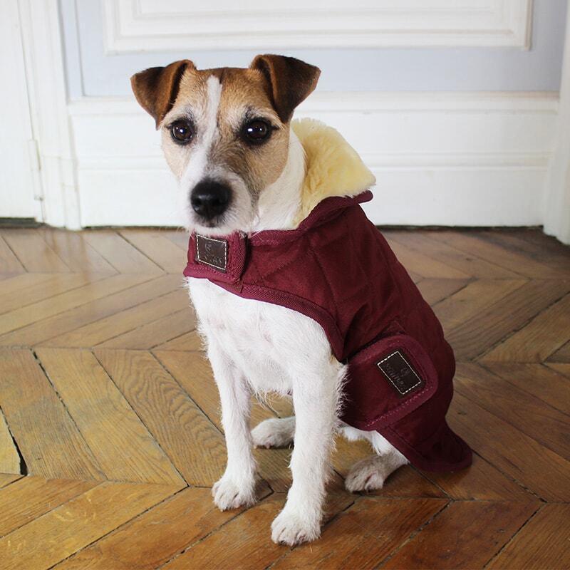 product/k/e/kentucky_52104-17-l_rouge-bordeaux_2.jpg