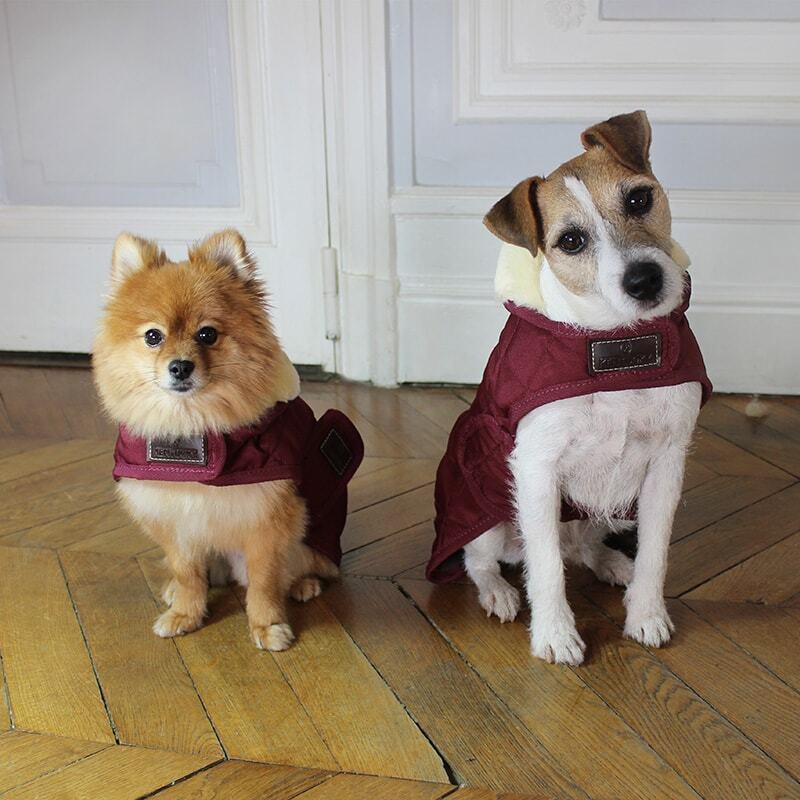 product/k/e/kentucky_52104-17-l_rouge-bordeaux_3.jpg