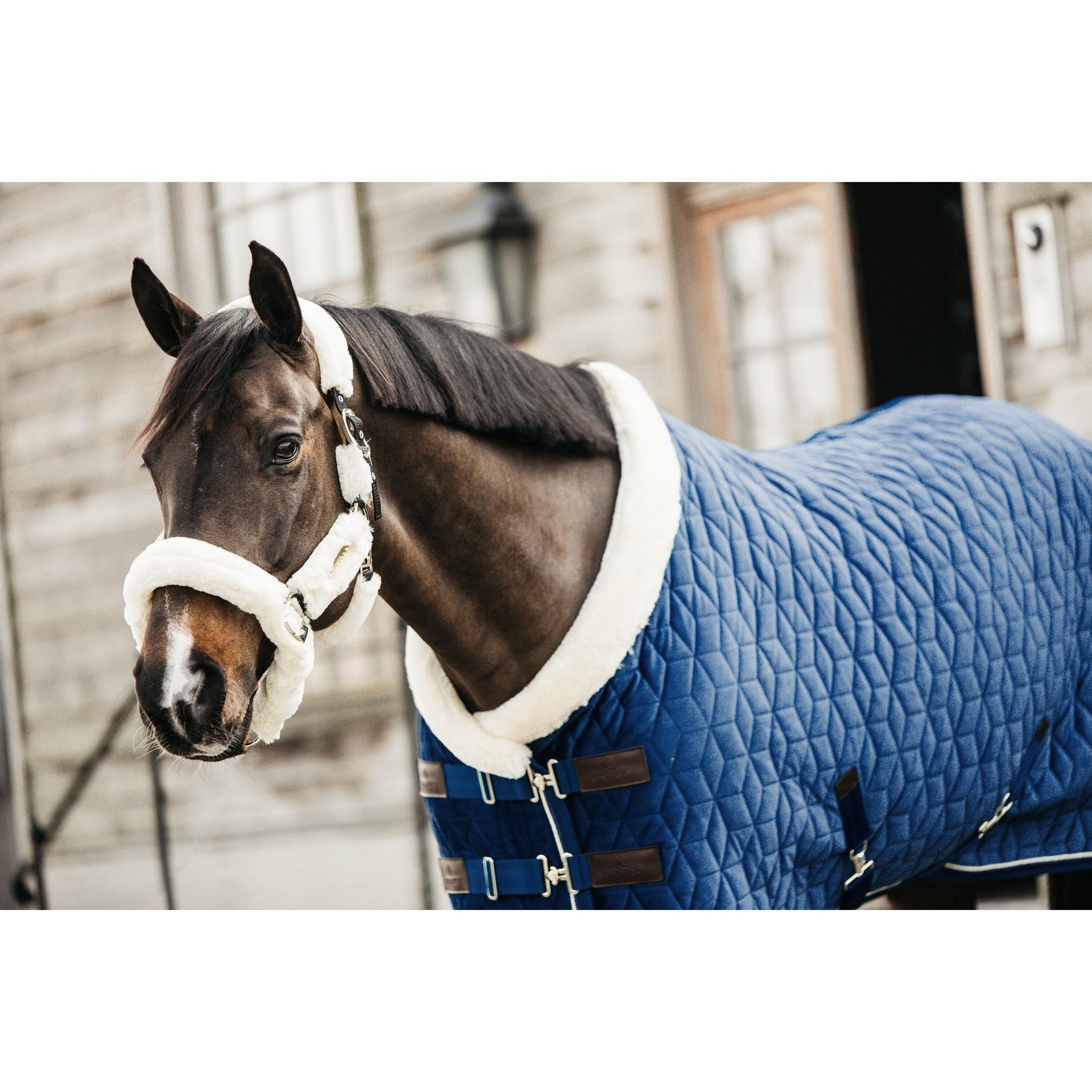 product/k/e/kentucky_52171-03_2.jpg