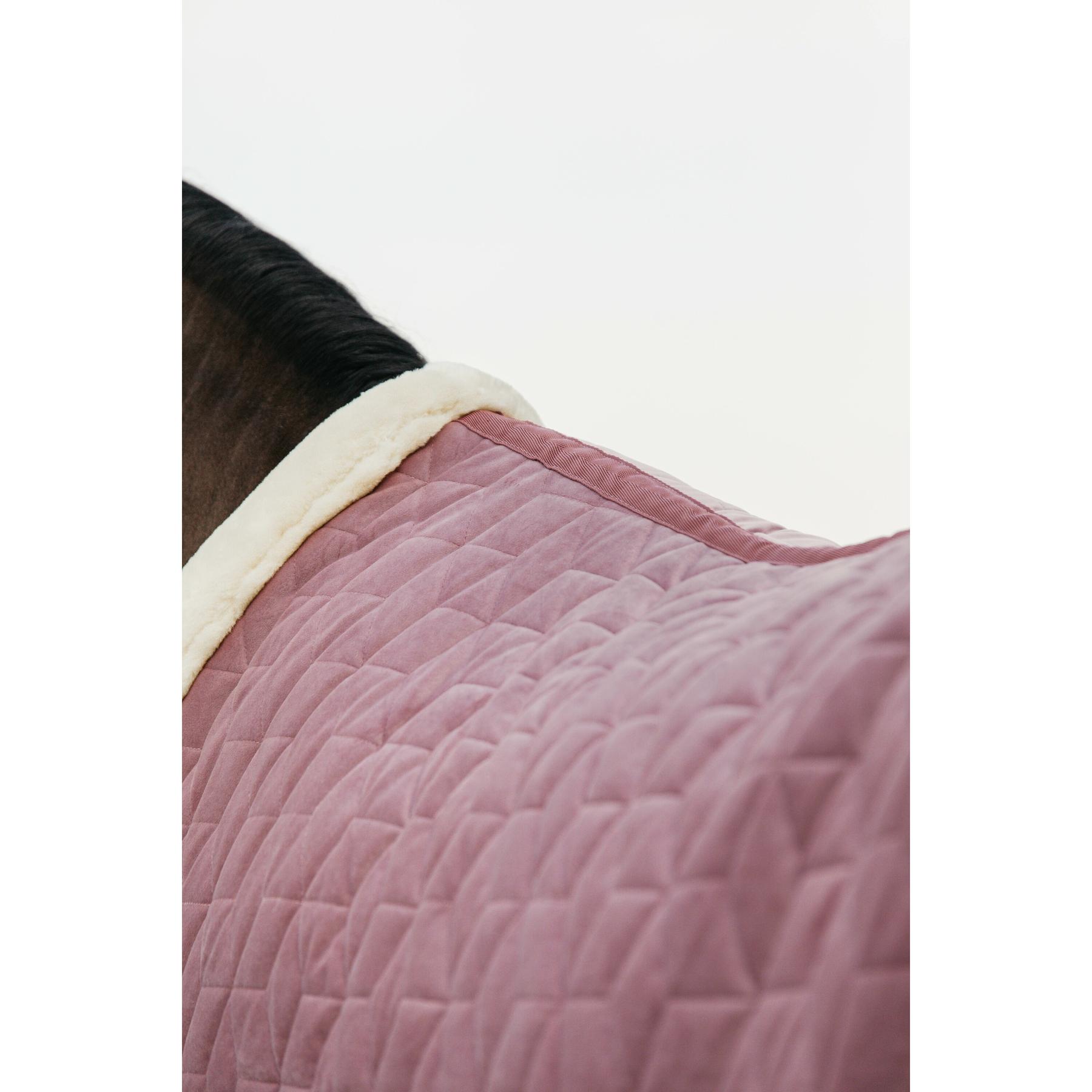 product/k/e/kentucky_52171-10_4.jpg