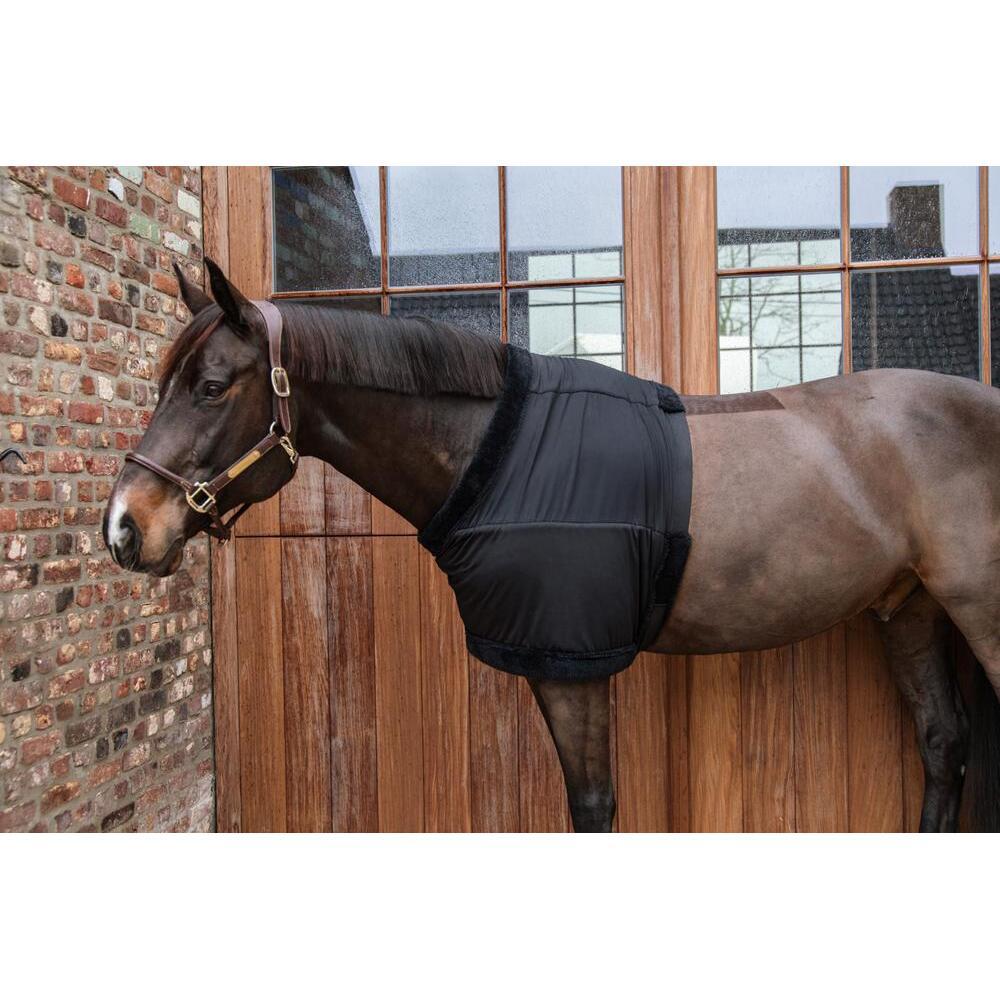 product/k/e/kentucky_52182-01-s_3.jpg