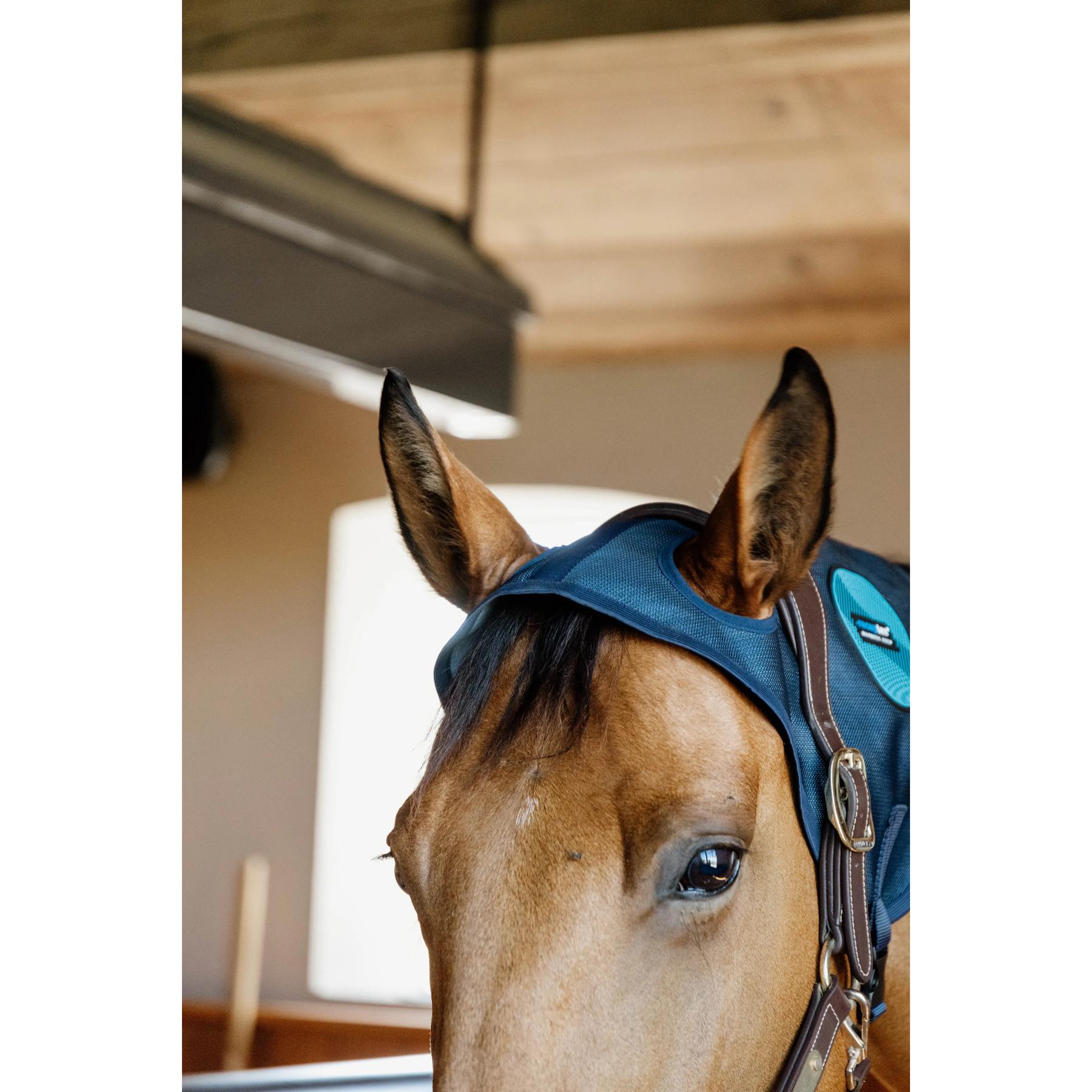 product/k/e/kentucky_62105-03-f_2.jpg