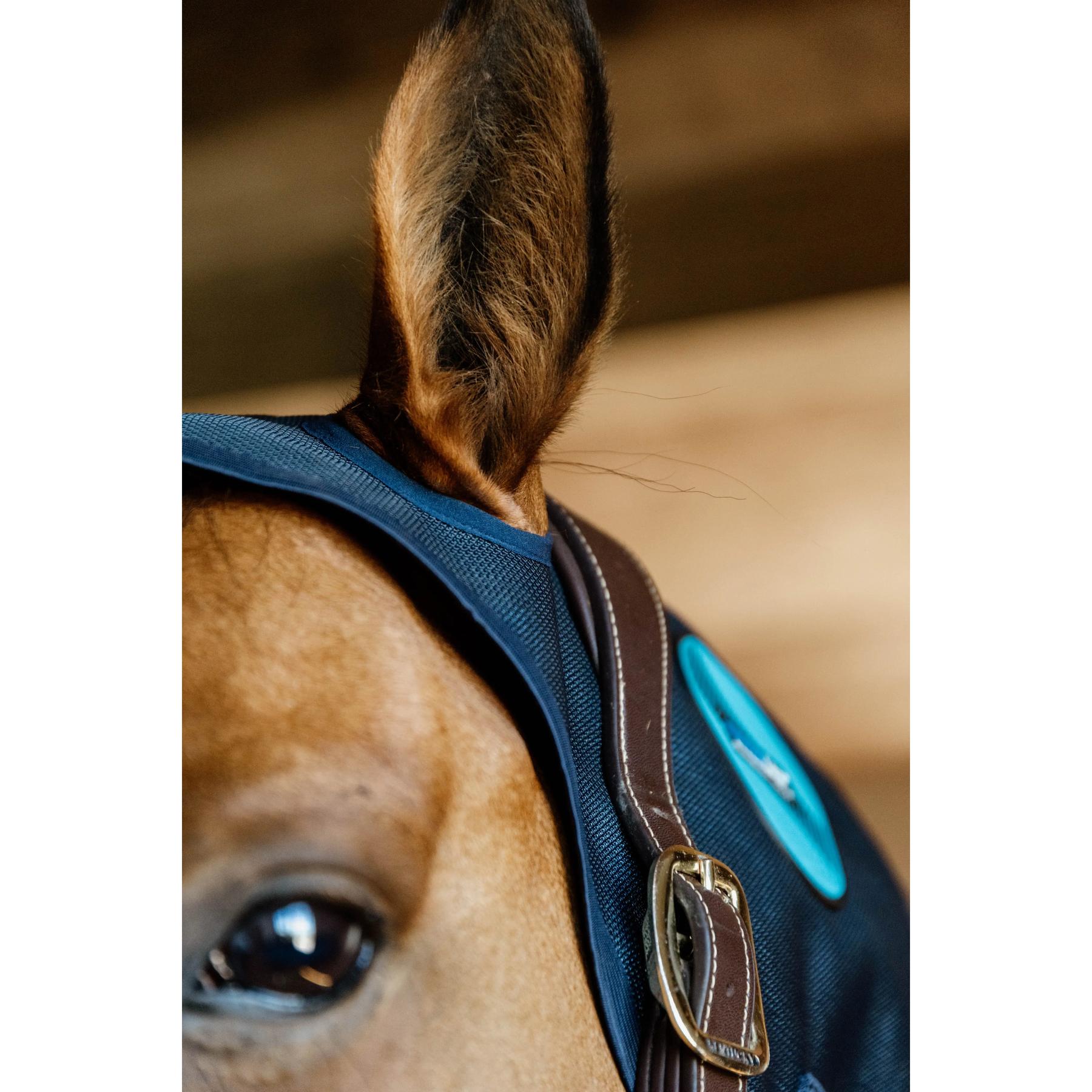 product/k/e/kentucky_62105-03-f_3.jpg