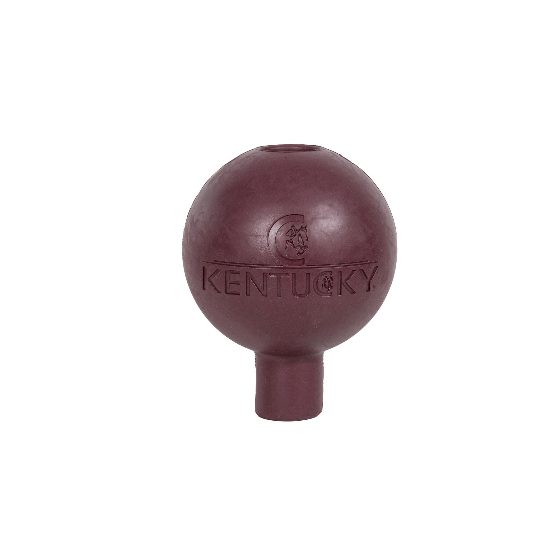 product/k/e/kentucky_82154-17-s.jpg