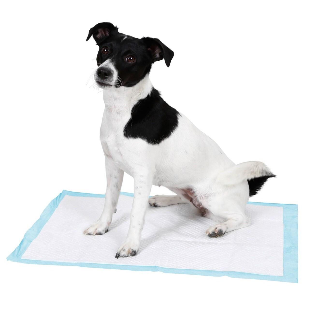product/k/e/kerbl_80740_blanc_2.jpg