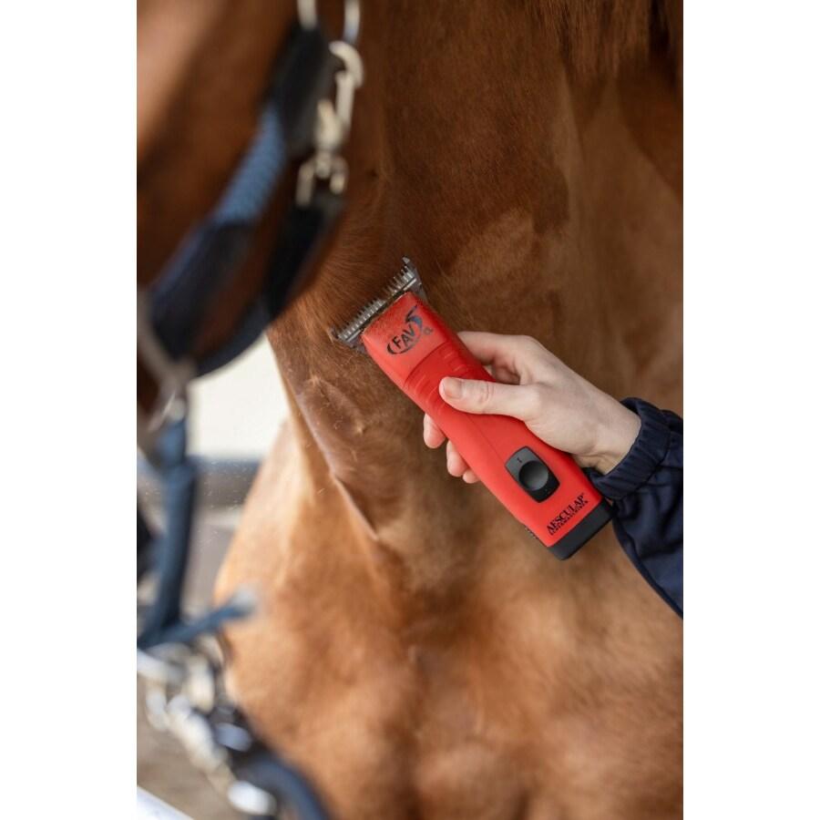 product/k/e/kerbl_gt334-pr_rouge_3.jpg