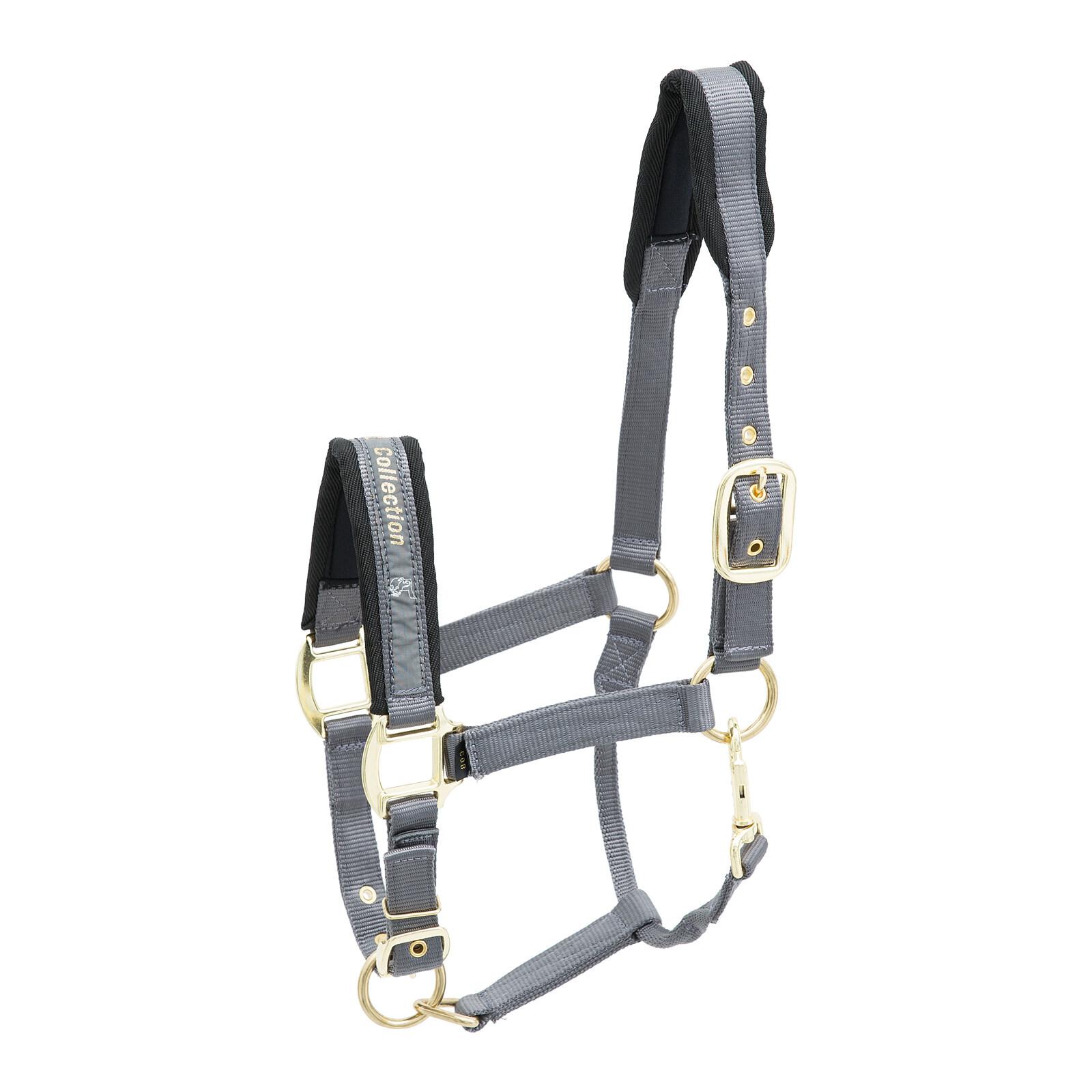 product/k/i/kieffer_553-15417.jpg