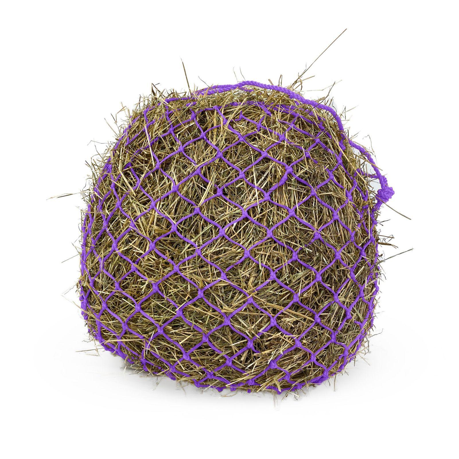 product/k/m/km-elite_dhnpp_purple_1.jpg
