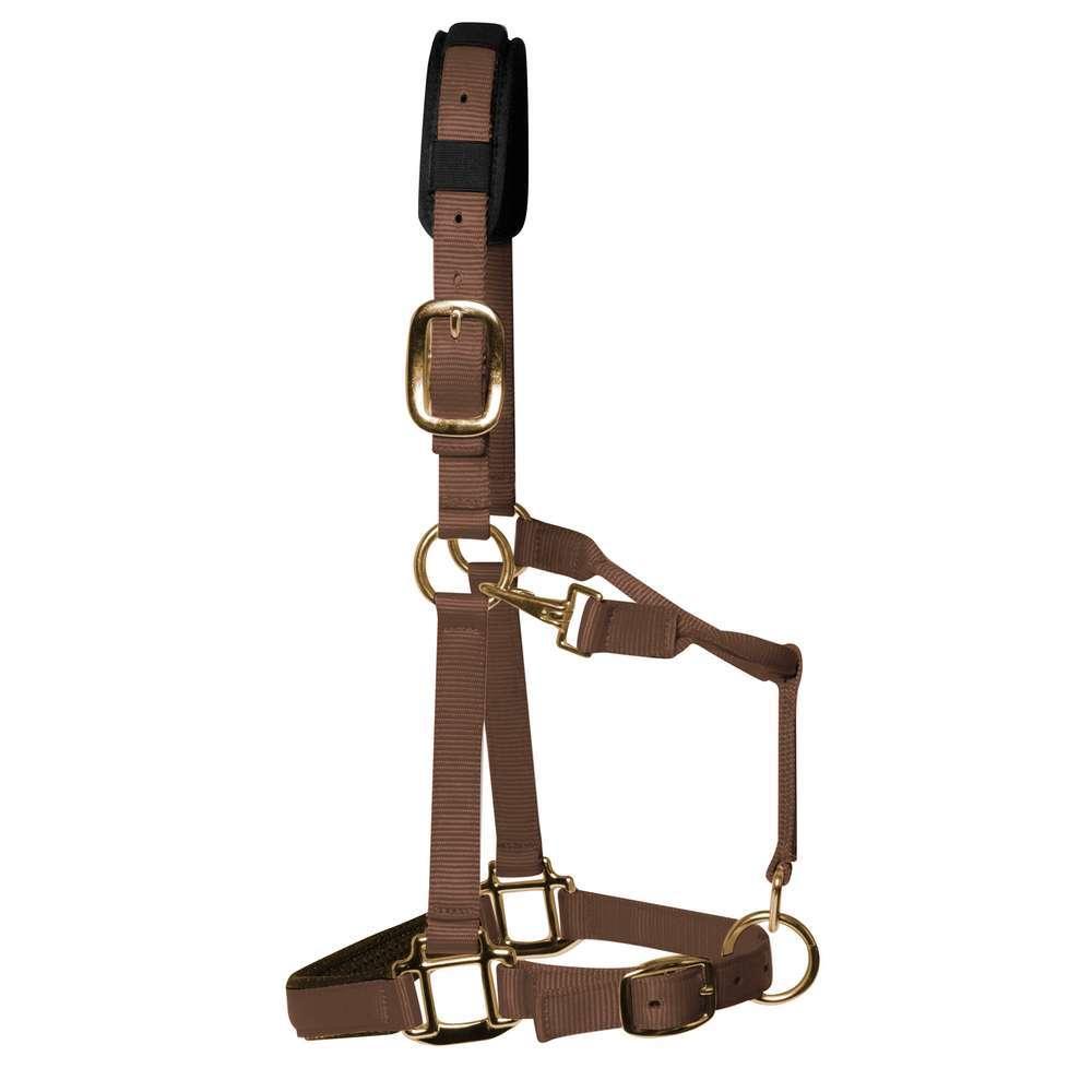 product/k/m/km-elite_hbrc_brown_1.jpg