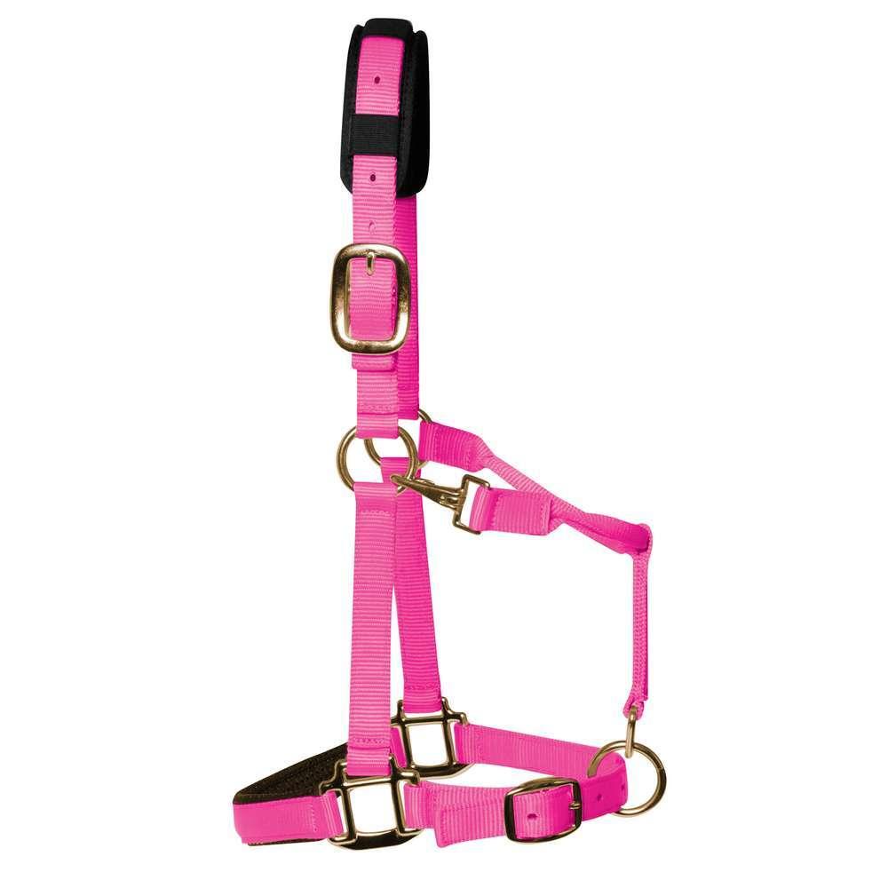 product/k/m/km-elite_hhpc_warm-pink_1.jpg