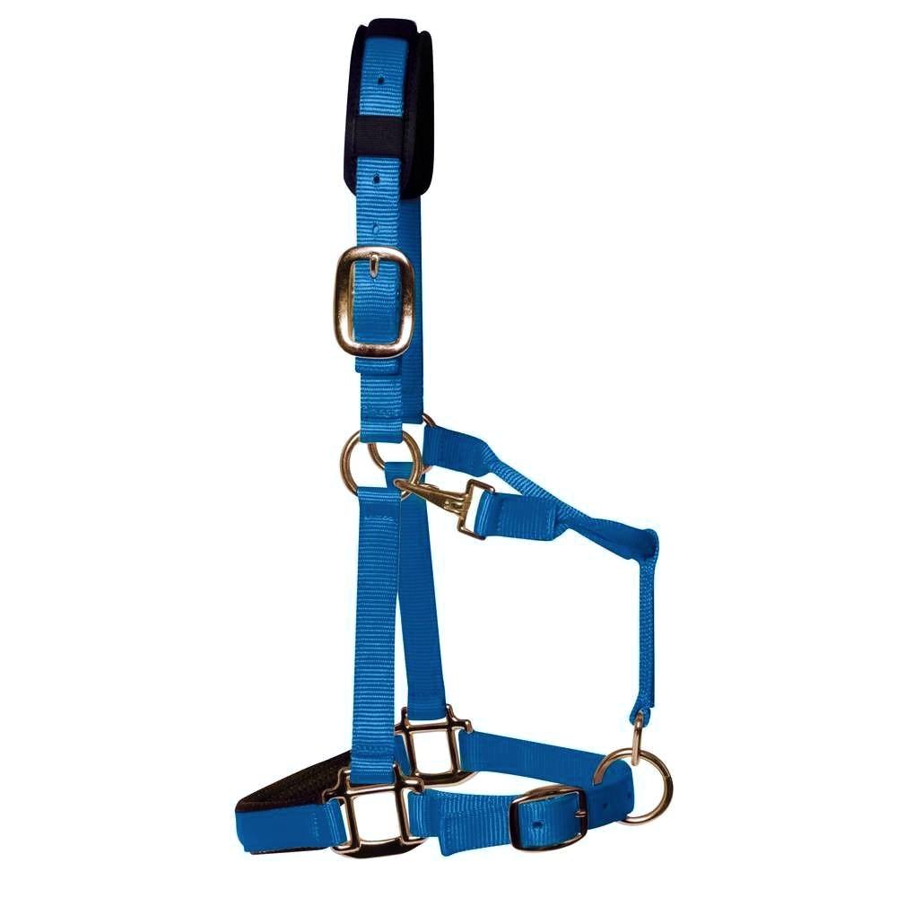 product/k/m/km-elite_htec_bluegreen_1.jpg