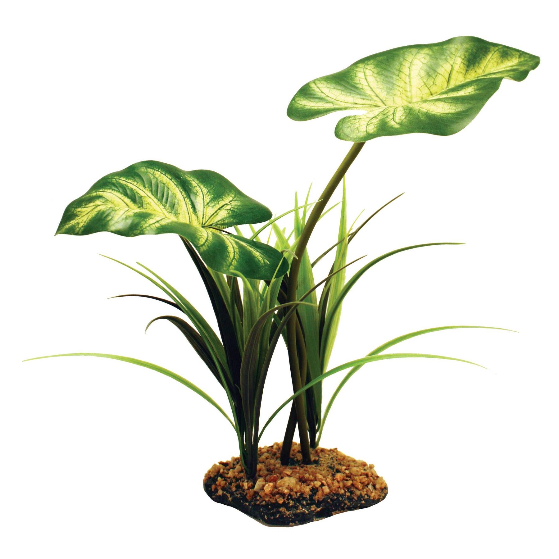 product/k/o/komodo_ko82543_vert-jaune_1.jpg