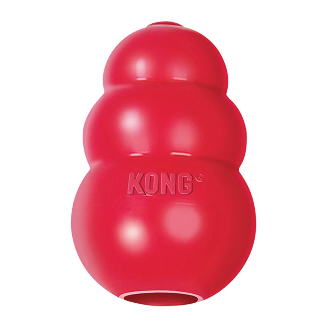 product/k/o/kong_74012001_1-nx043024.jpg