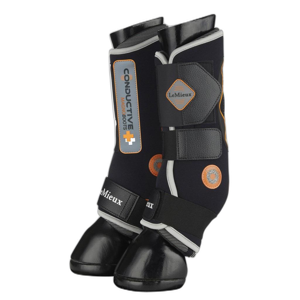 product/l/e/lemieux_it00580_1.jpg