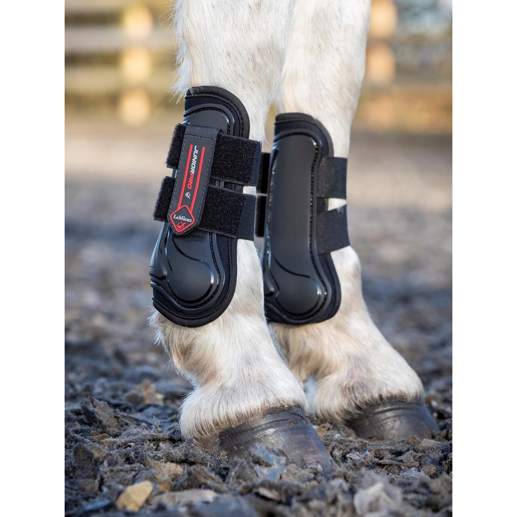 product/l/e/lemieux_it00694_1.jpg