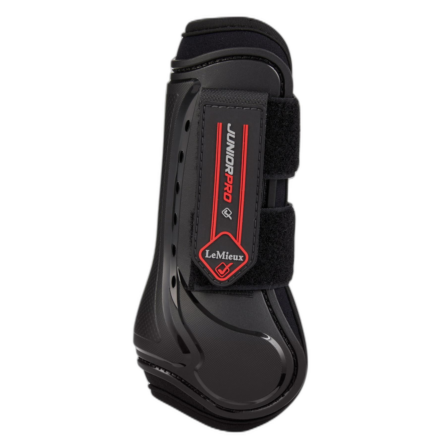 product/l/e/lemieux_it00694_3.jpg