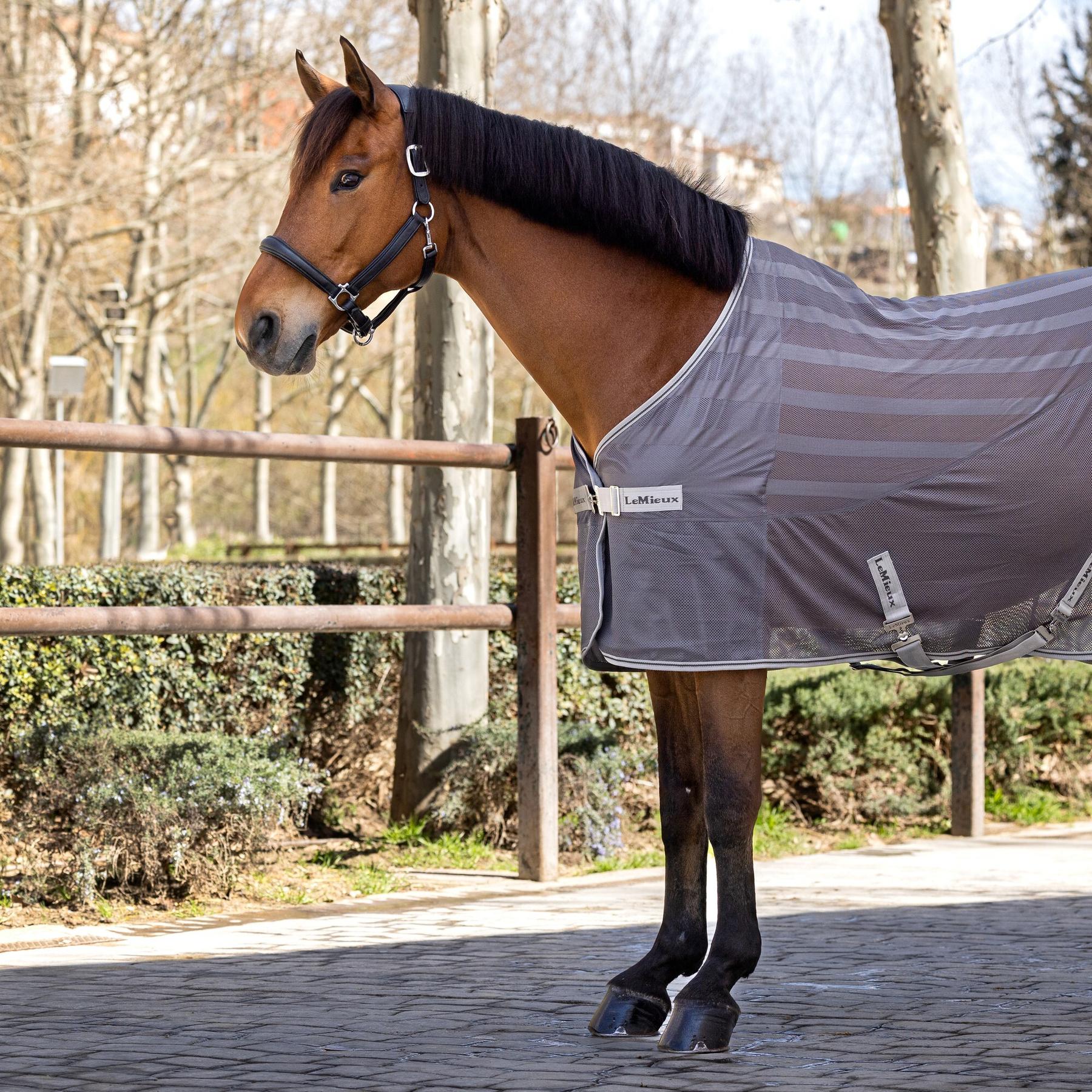 product/l/e/lemieux_it01032_grey_2.jpg