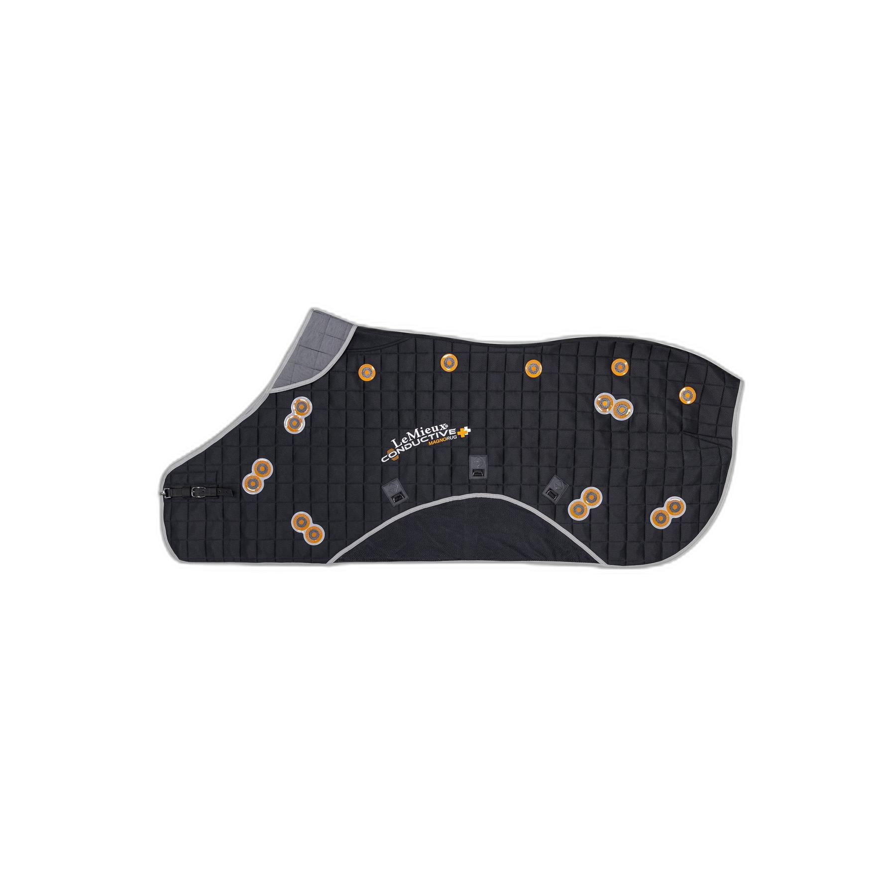 product/l/e/lemieux_it01056_1.jpg