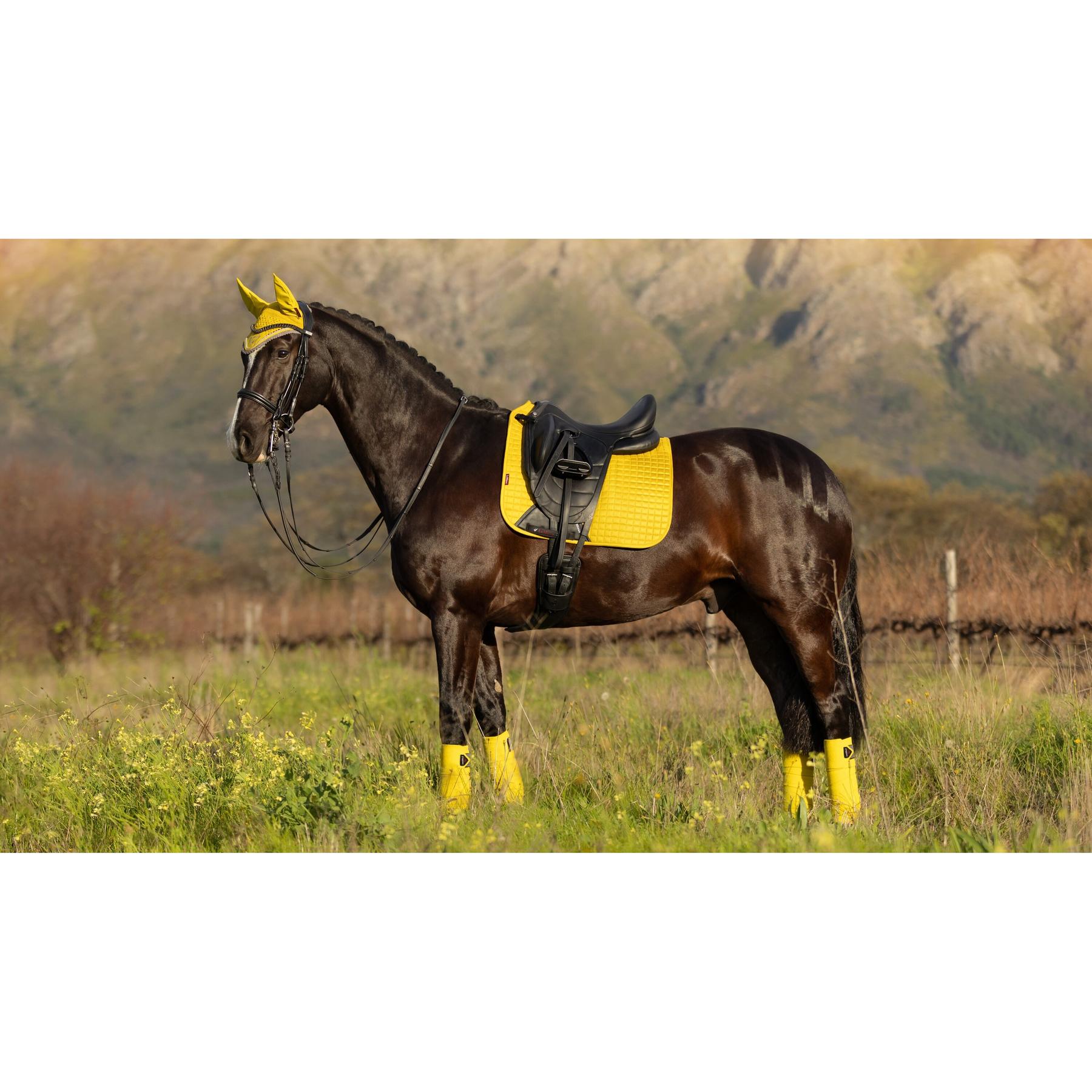 product/l/e/lemieux_it01284066_0_1.jpg