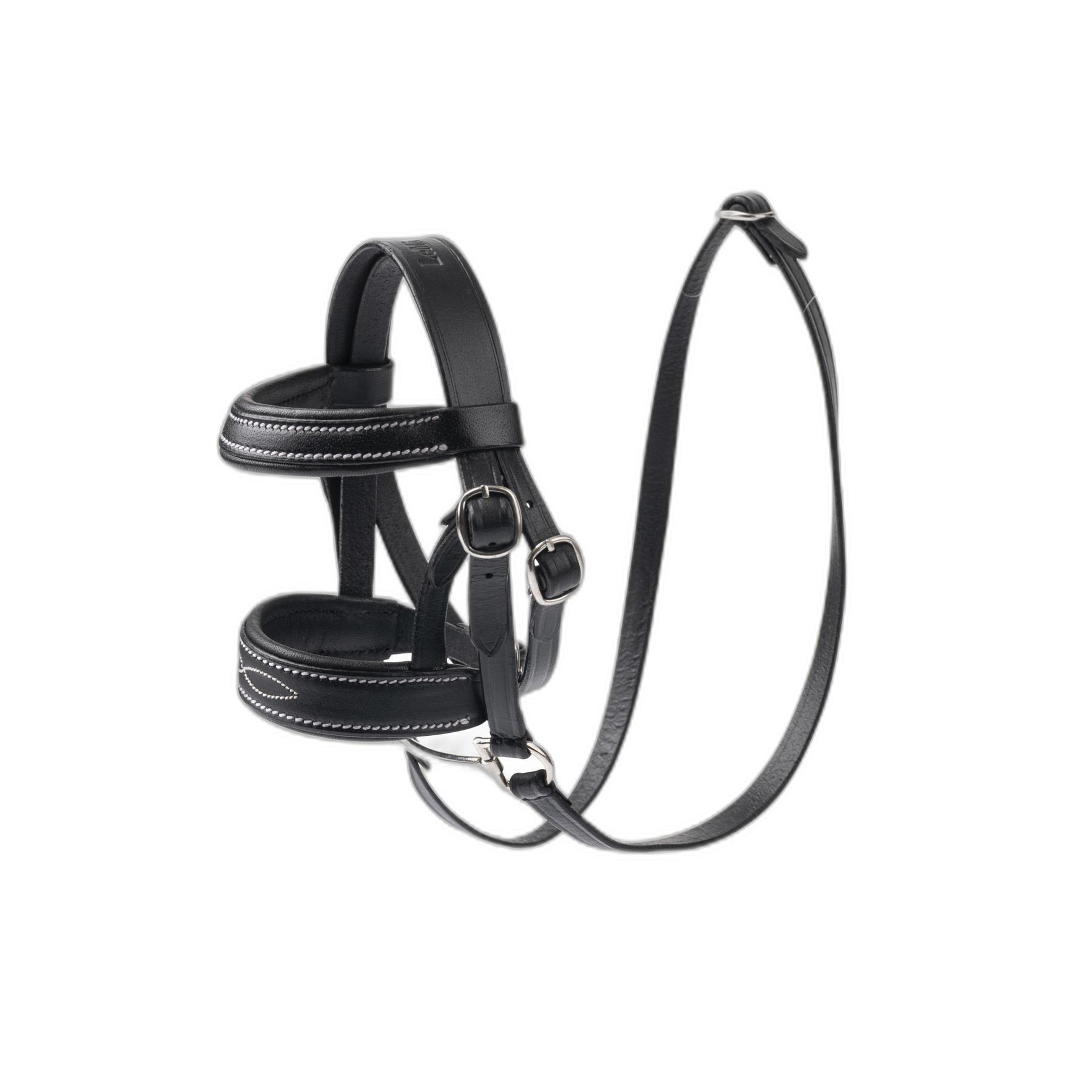 product/l/e/lemieux_it02100_1.jpg