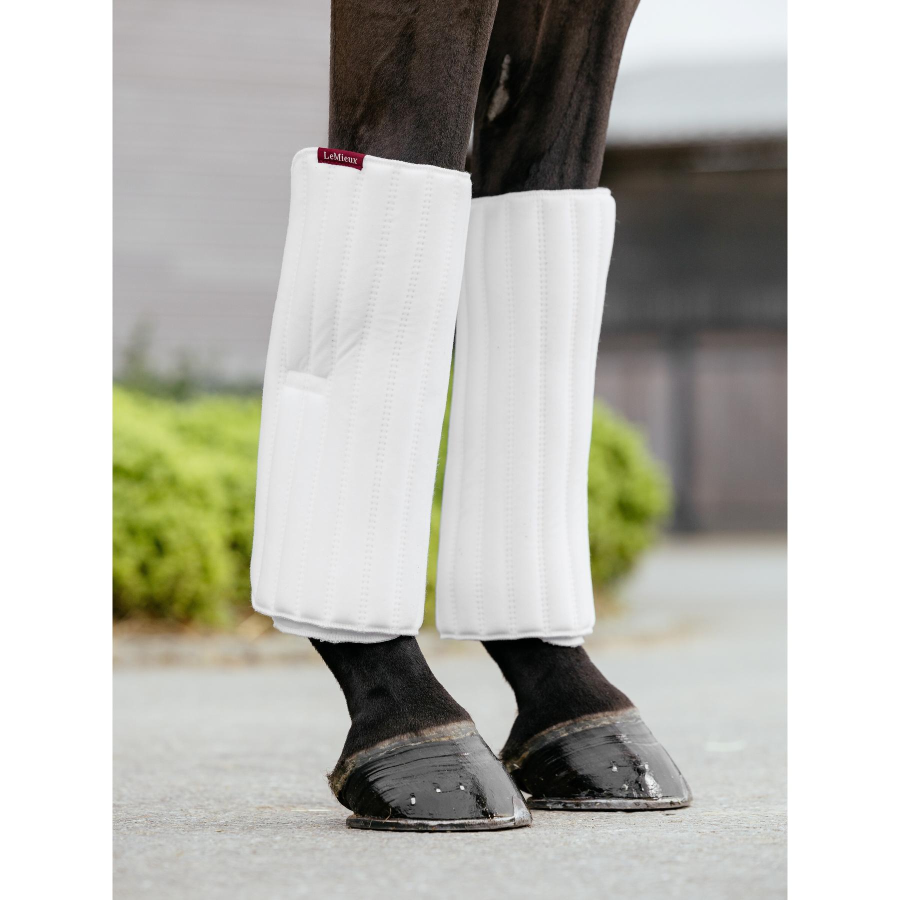 product/l/e/lemieux_it03747003_blanc_3.jpg