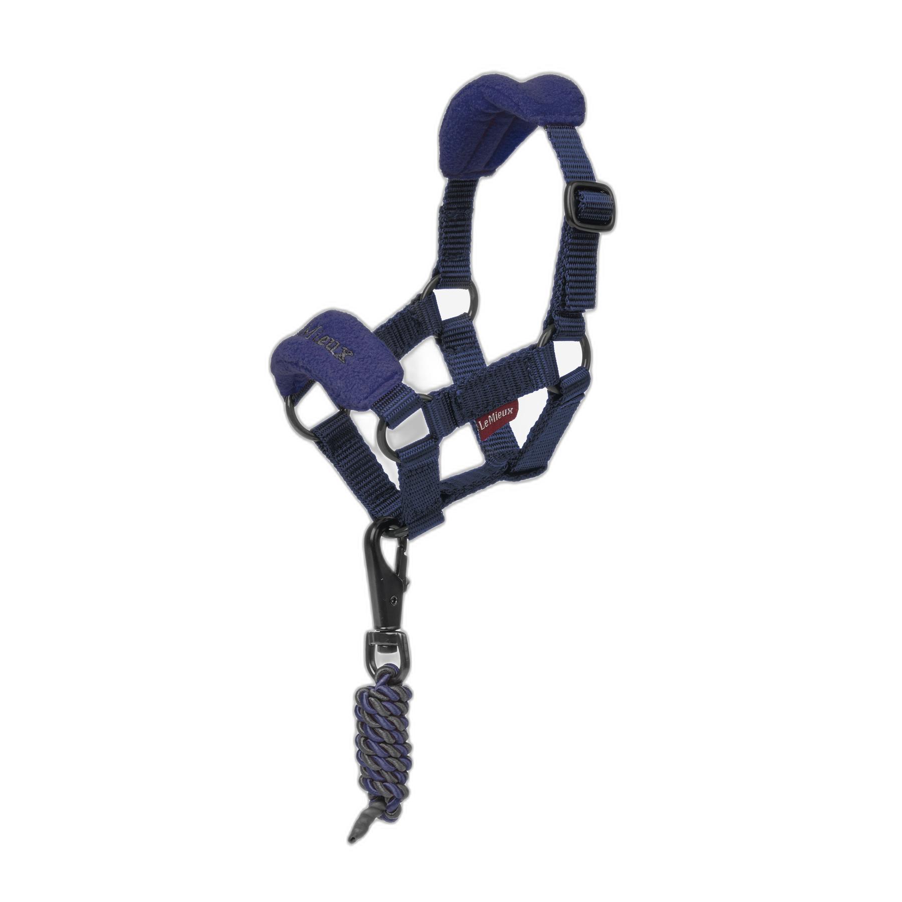 product/l/e/lemieux_it03933001_0.jpg