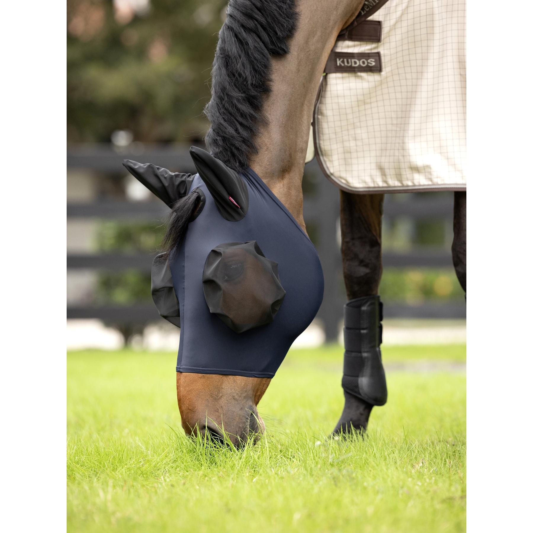 product/l/e/lemieux_it04141002_0.jpg