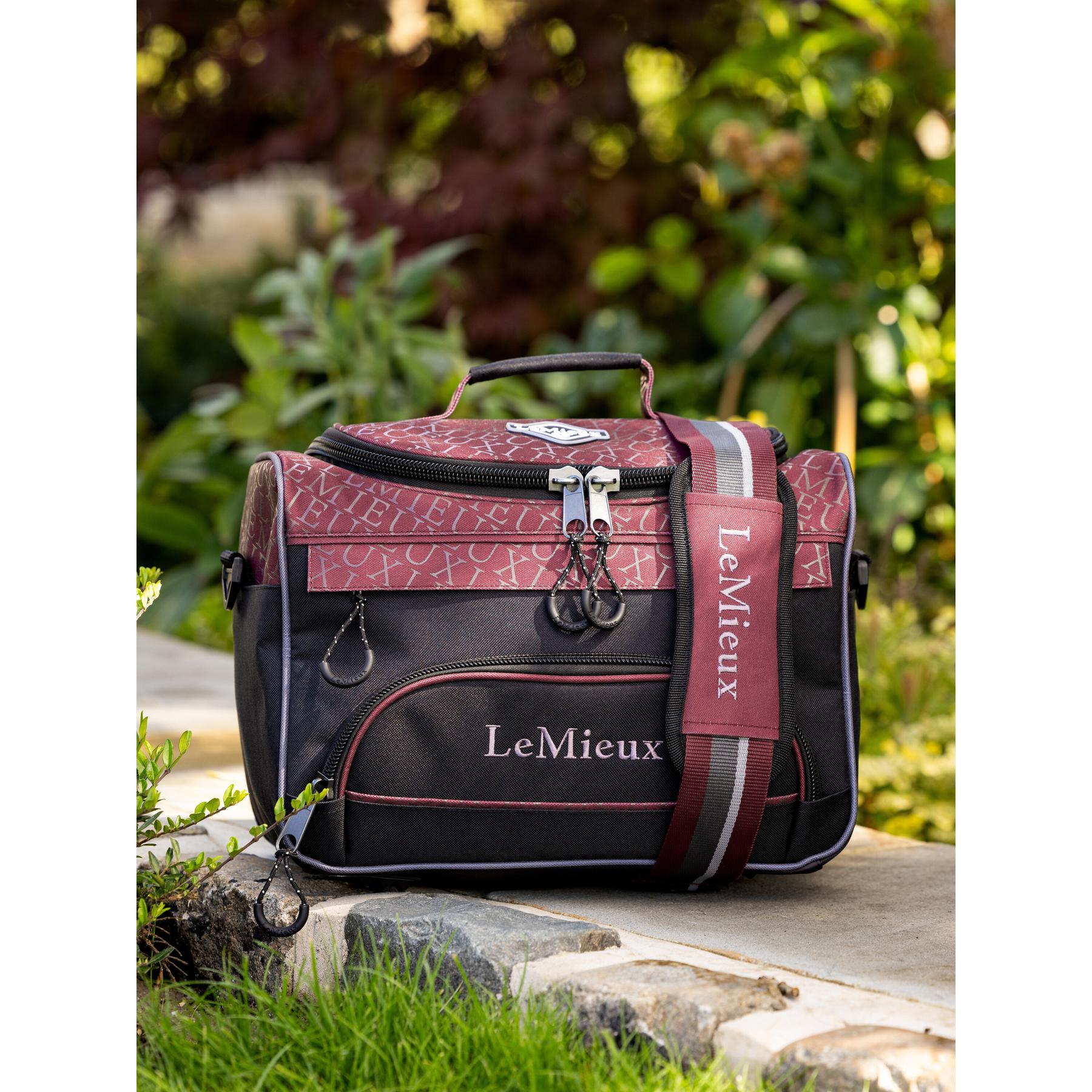 product/l/e/lemieux_it04361001_1.jpg