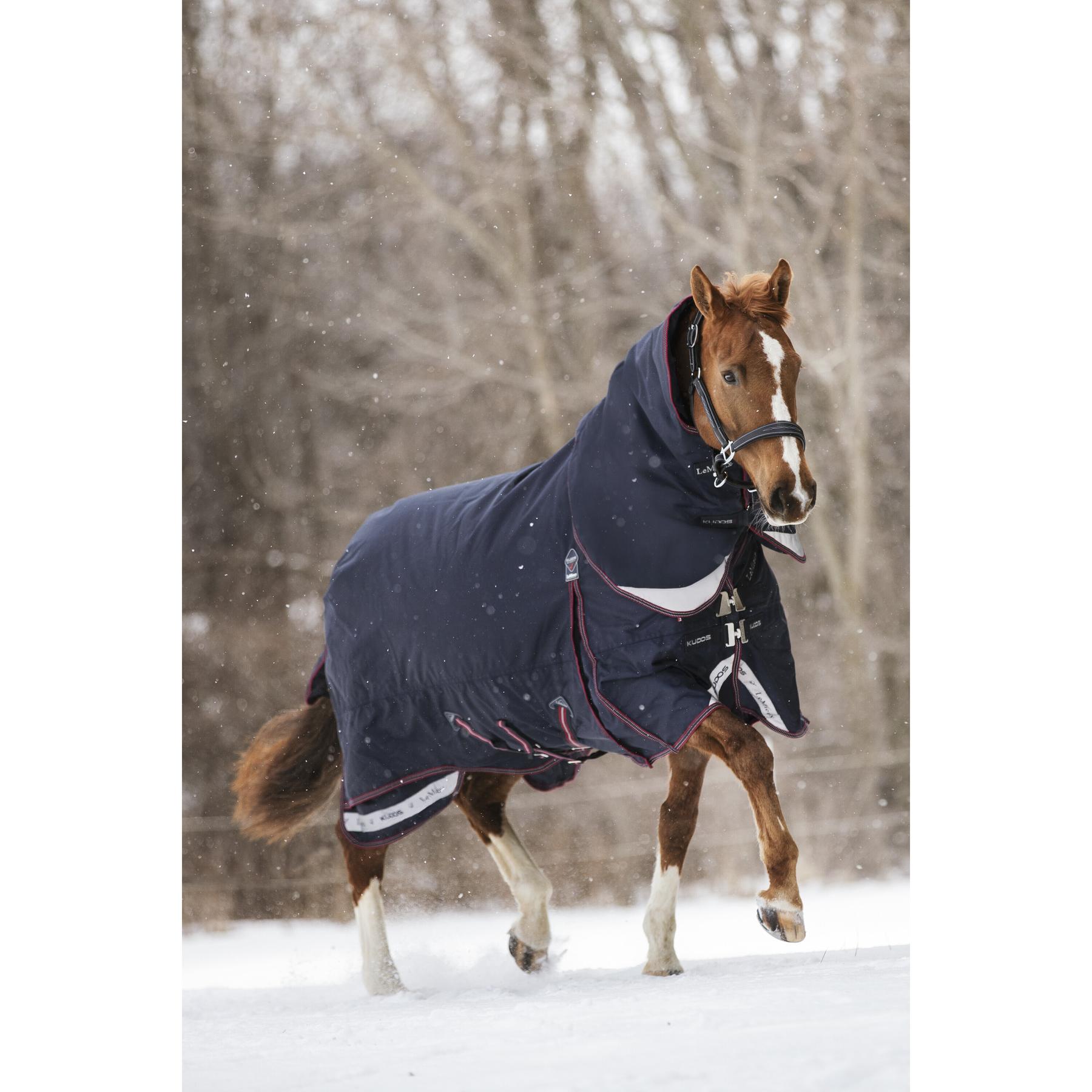 product/l/e/lemieux_it04586025_3.jpg