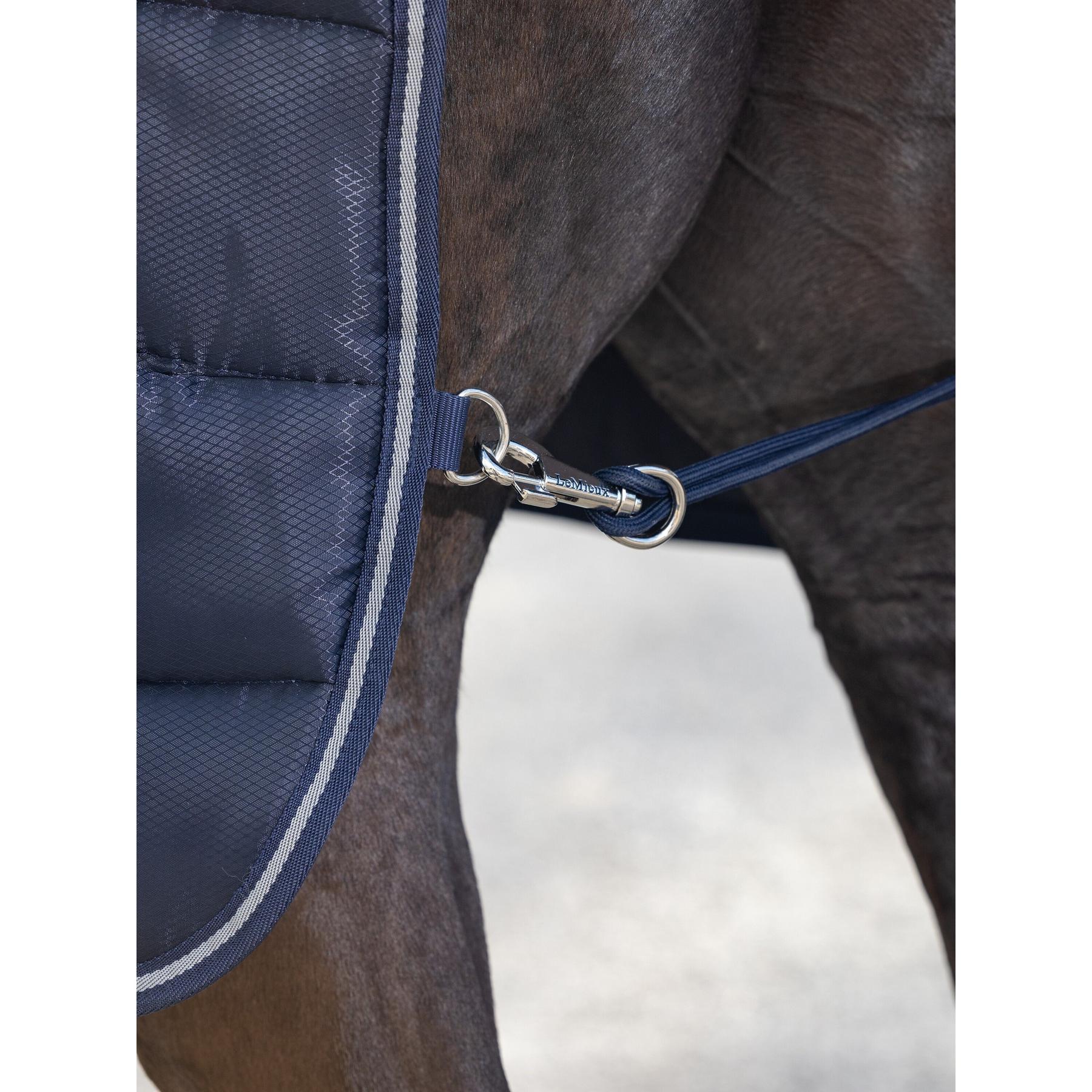 product/l/e/lemieux_it04694025_bleu_5.jpg